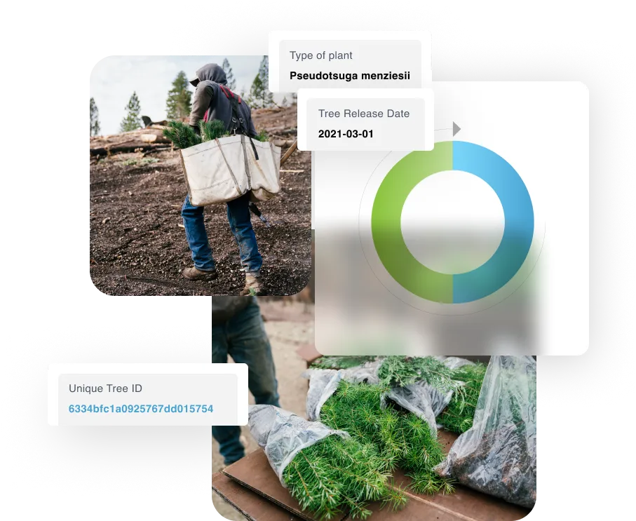 Surveyor assessing land for sustainable reforestation projects led by Reduce Reuse Grow.