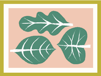 leaf look icon