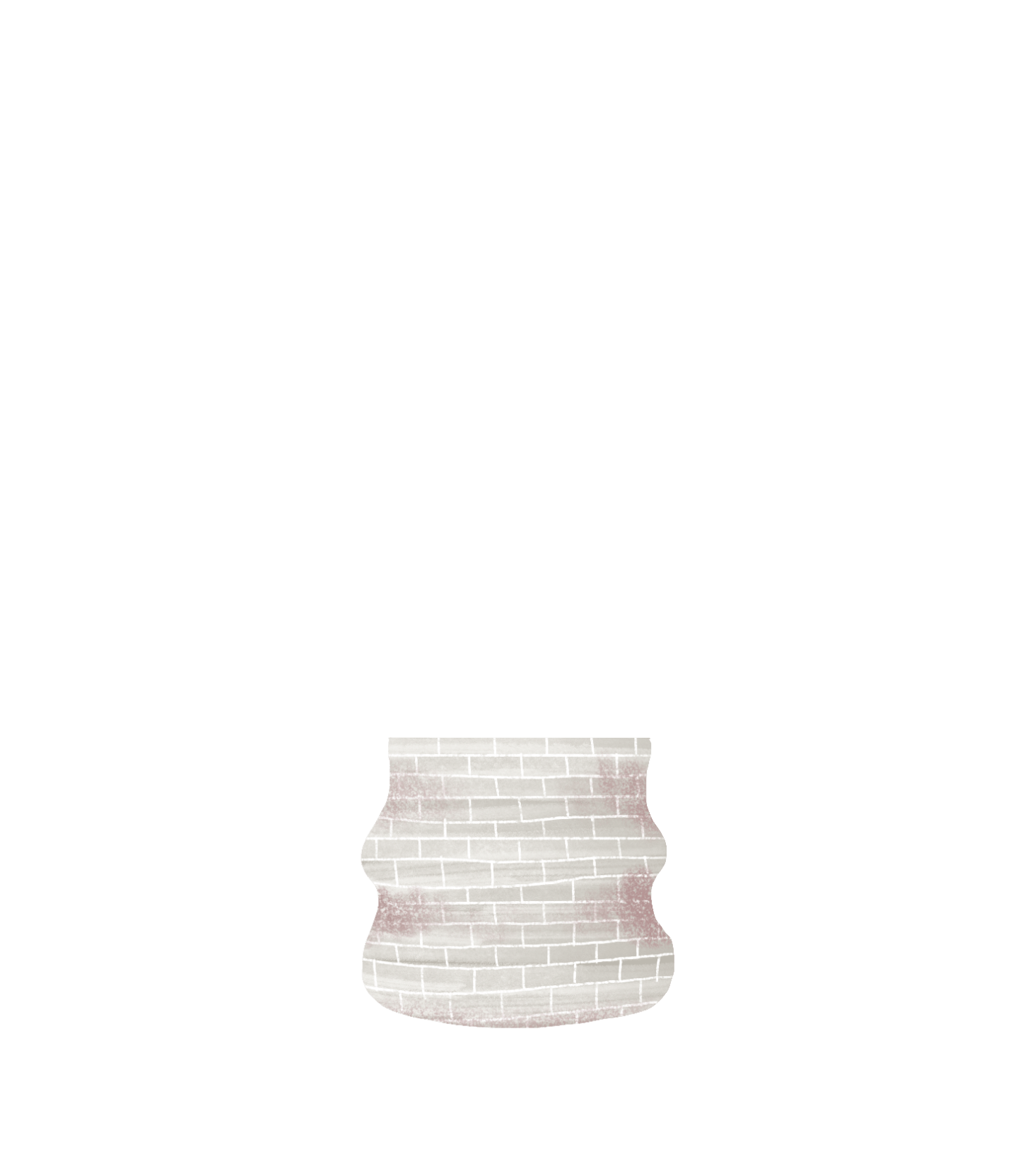 maranta pot