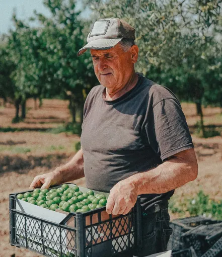 An seasoned farmer carrying a crate of fresh produce, illustrating a small business owner who needs capital to grow their farm.