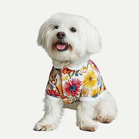 Dog shirts