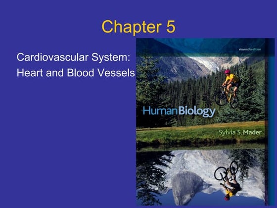 05 lecture animation_ppt