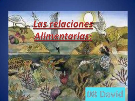 08 david las relaciones