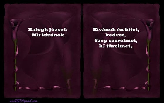 1.balogh józsef, mit kívánok+ani (nx power lite)