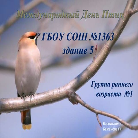 день птиц группа раннего возраста 1 здание 5