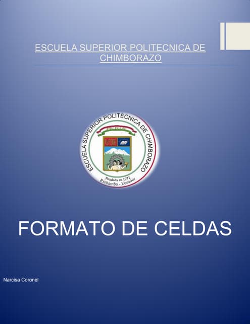 17. formato de celdas