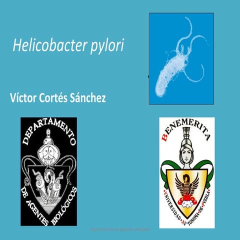18.  Helicobacter pylori