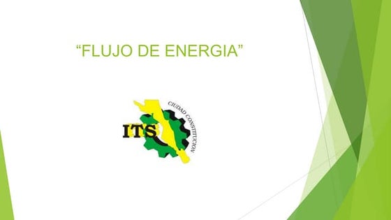 2.2 Flujo de energia y cadenas troficas