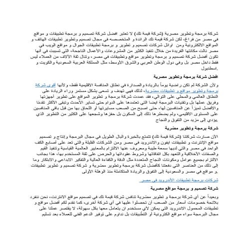 أفضل شركة برمجة وتطوير مصرية لتطوير أعمالك في 2025.docx