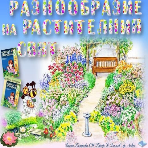 Животът на растенията - ЧП,-3-клас,-Булвест