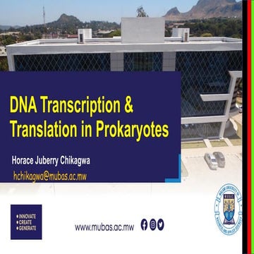3. Transcription in Prokaryotes and Eukaryotes.pdf