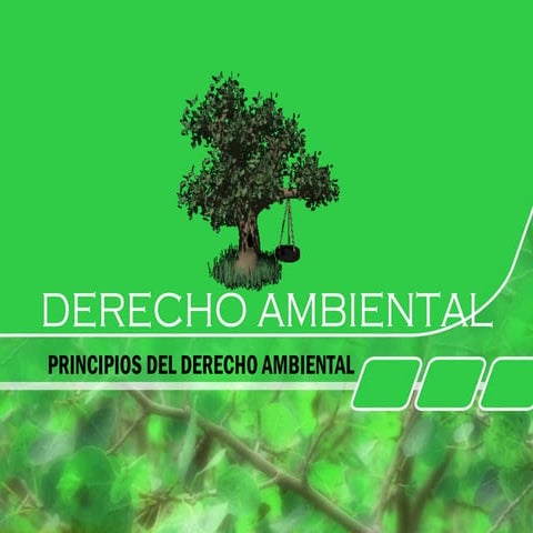 4. principios ambientales