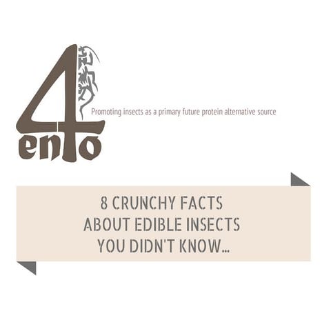 8 Crunchy Facts about Edible Insects You Didn't Know