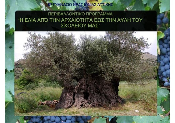 5ο γυμνάσιο ν. ιωνίας