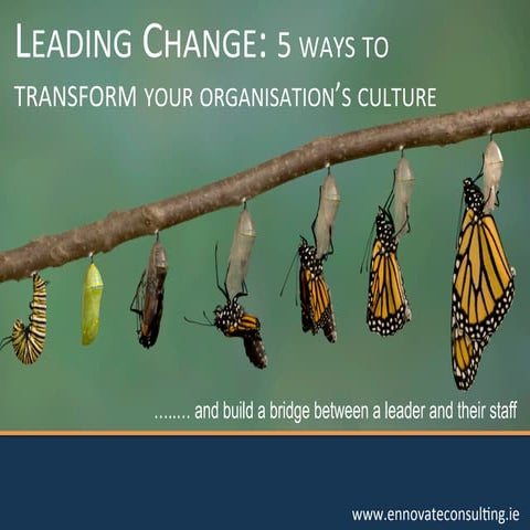 Leading Change: 5 ways to transform your organisation's culture