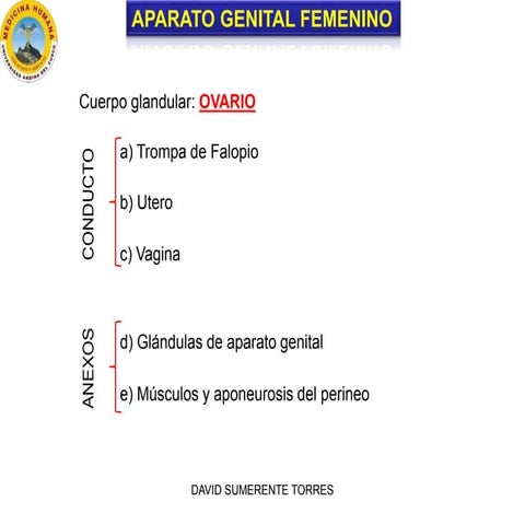 Anatomía de los Genitales Femeninos