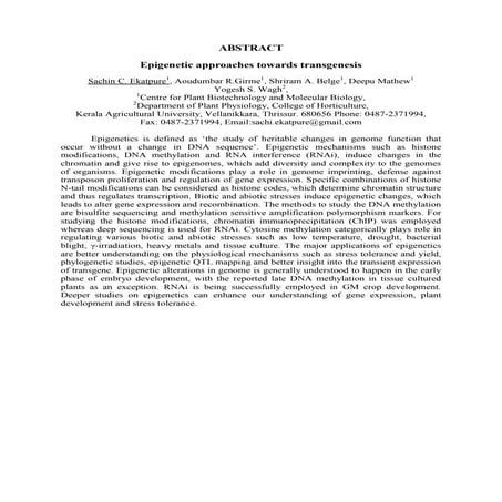 Abstract  epigenetic approaches towards transgenesis