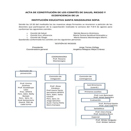 Acta de constitución de los comités de Salud, Ecoeficiencia y Gestión de Ries...