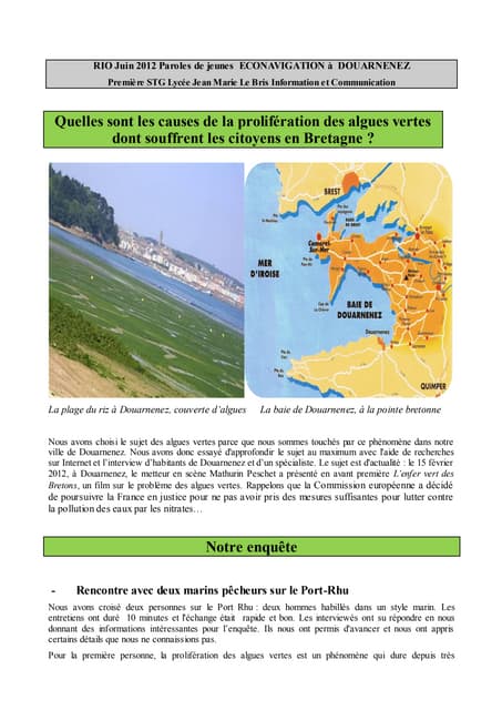 Algues vertes