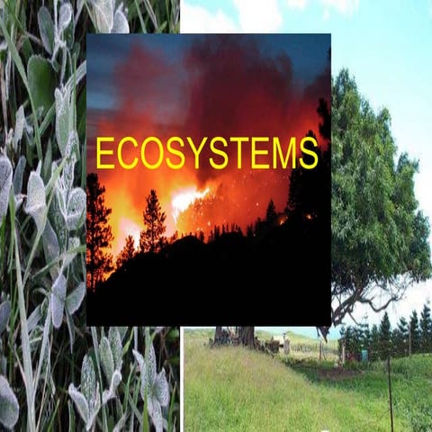 ECOLOGICAL SYSTEM