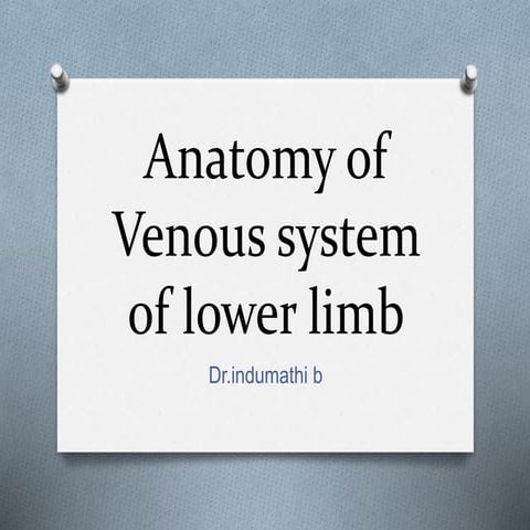 Anatomy of venous system of lower limb