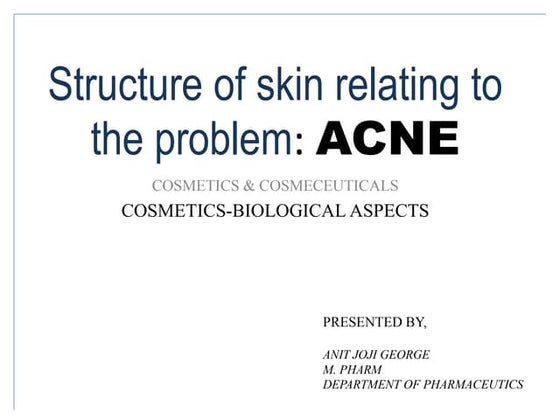 Structure of skin relating to the problem ACNE