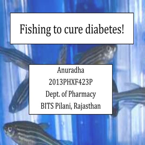Zebra fish models for diabetes