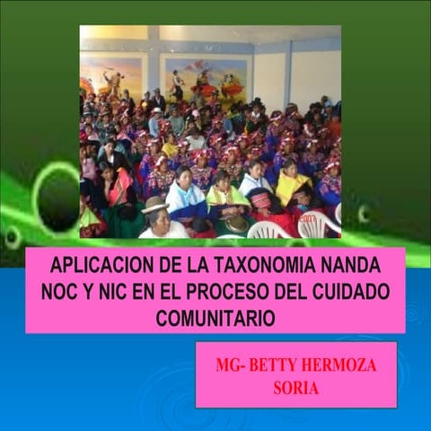 Aplicaciondenandanicynocenlacomunidad 090913105719-phpapp02