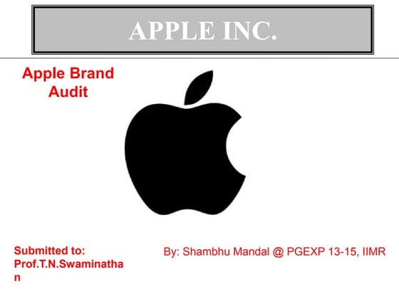 Apple brand audit pgexp 13 15-iimr
