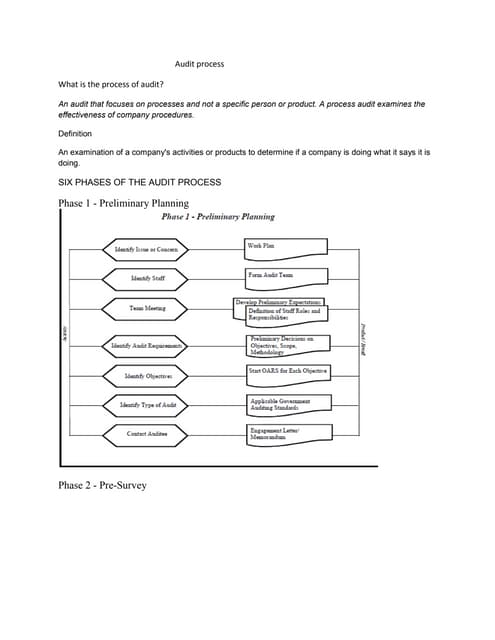 Audit process