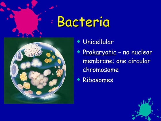 Bacteria Notes 10/26