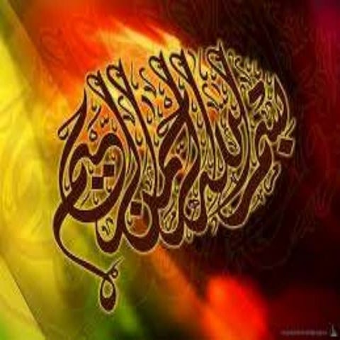 Behavioral assessment 