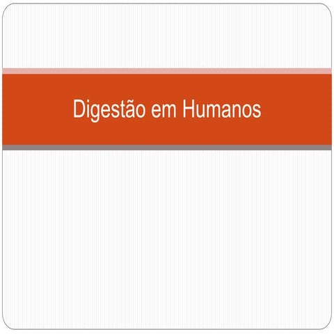 Digestão em humanos