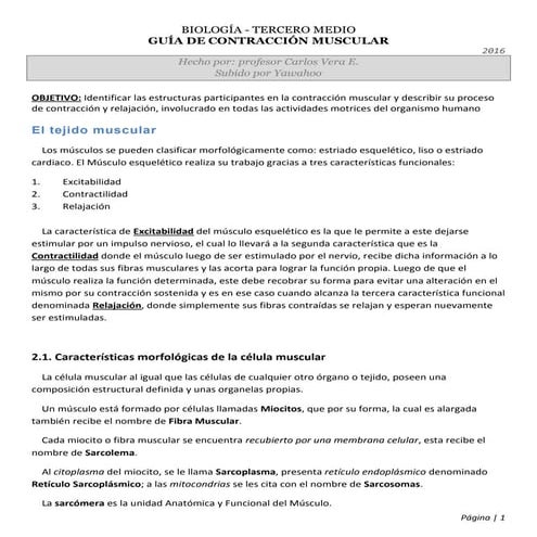 Biología 3° medio - Guía de Contracción Muscular
