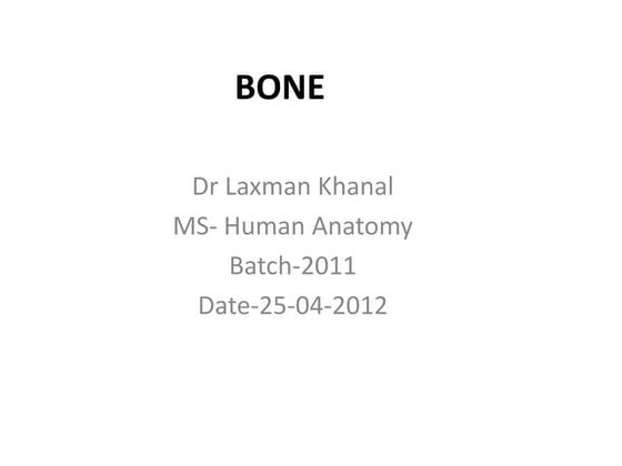 Bone