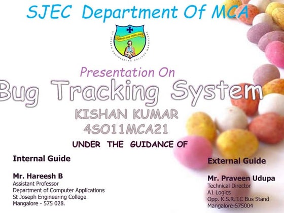 Bug Tracking System
