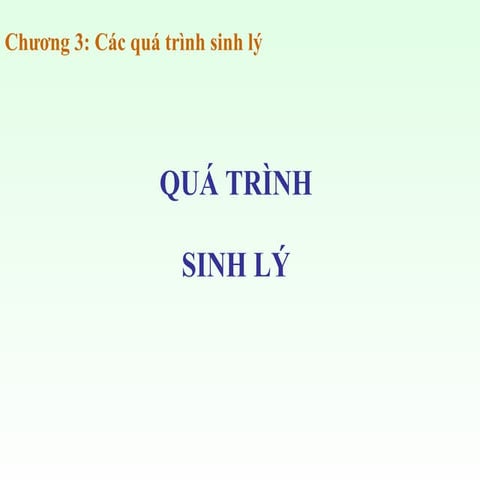 C 3 qua trinh sinh ly