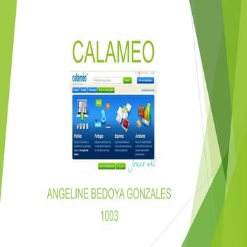 Calameo