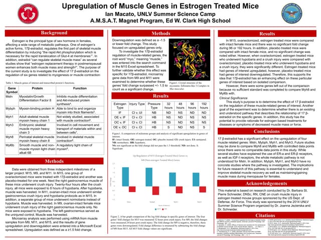 Final Draft Poster_MACATO