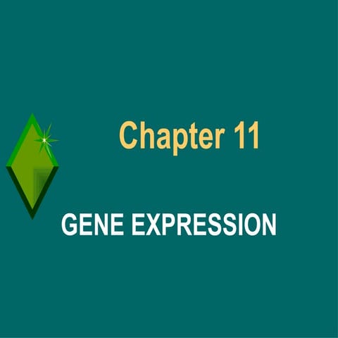 Ch 11 gene expression lecture presentation