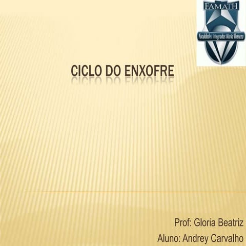 Ciclo do enxofre