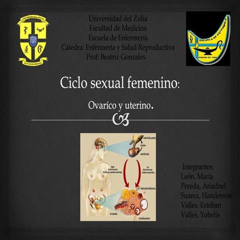 Ciclo sexual femenino 