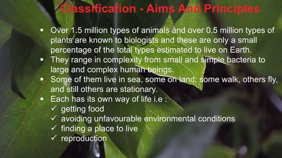 Classification: Aims and principles