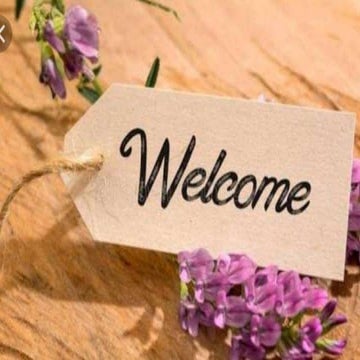 The renaissance literature