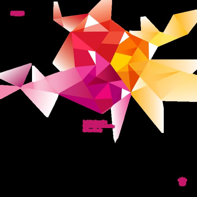 Insights from the 2011 CMO Study