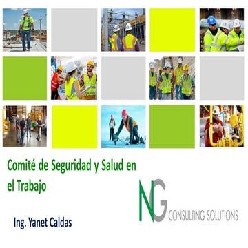 Comité o Supervisor  de Seguridad y Salud en el Trabajo