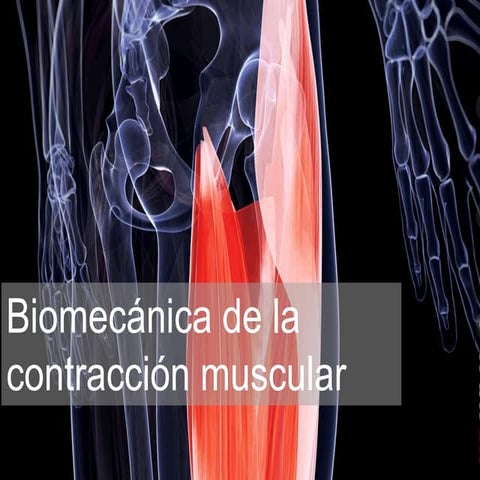 contraccion del musculo esqueletico.pptx