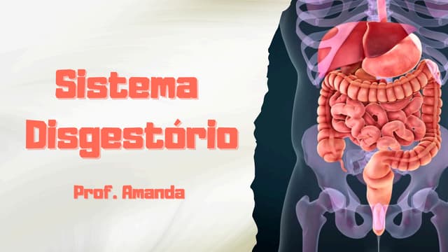 Cópia de Sistema Disgestório.pdf.pdfbnn