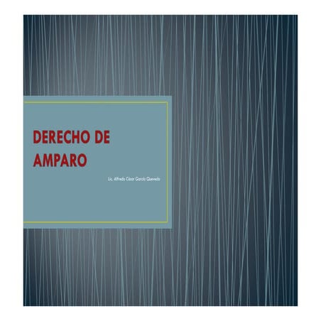 Derecho de amparo