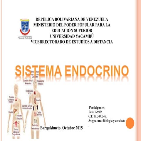 Diapositivas sistema endocrino